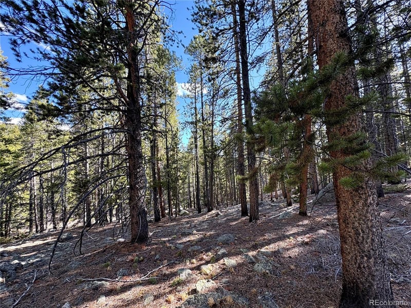 5282 Roy , Leadville, CO 80461