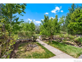 137 Bayside Cir, Windsor, CO 80550