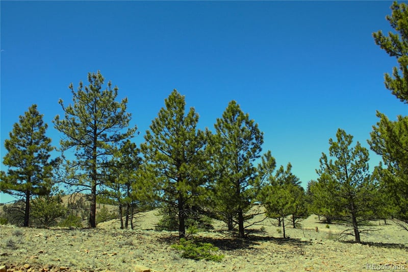12451 Us 24 , Hartsel, CO 80449