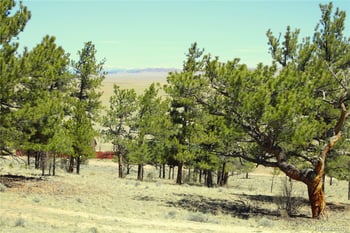 12451 Us 24 , Hartsel, CO 80449