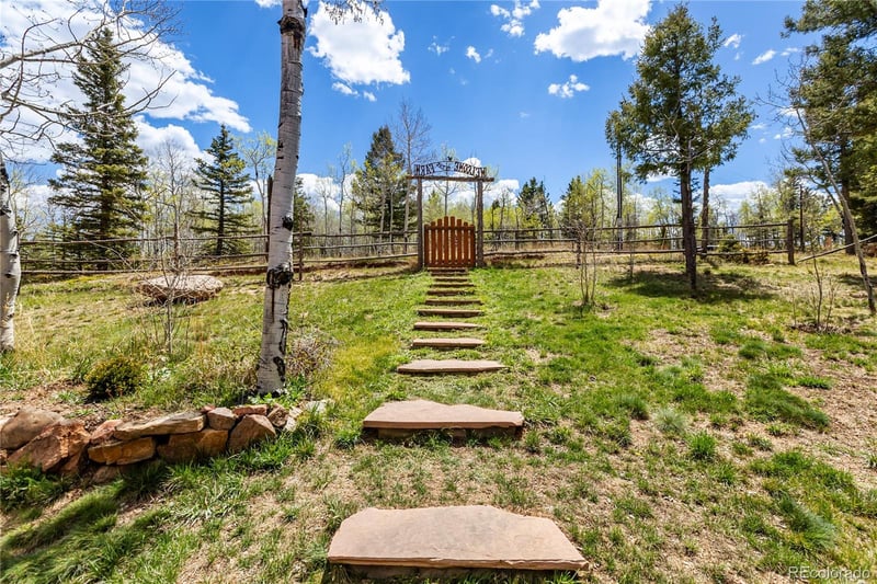 153 Moss Rock Ct, Divide, CO 80814