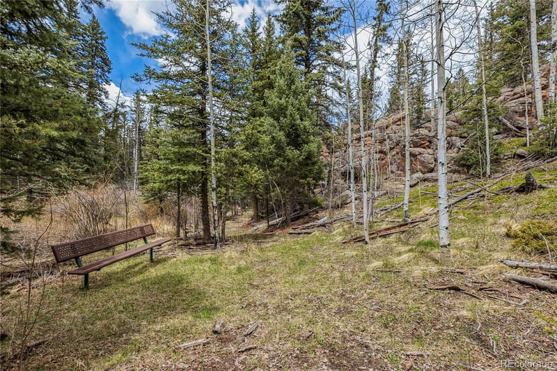 153 Moss Rock Ct, Divide, CO 80814