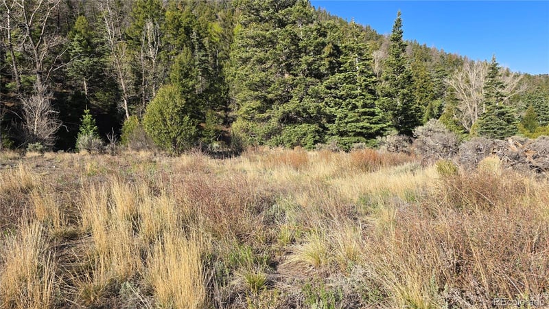 Lot 5475 Joy Rd, Fort Garland, CO 81133