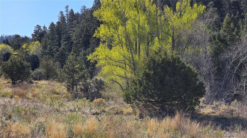Lot 5475 Joy Rd, Fort Garland, CO 81133