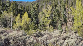 Lot 5475 Joy Rd, Fort Garland, CO 81133