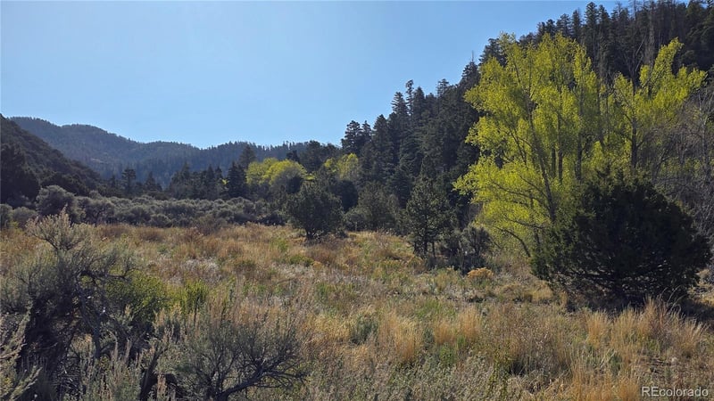 Lot 5475 Joy Rd, Fort Garland, CO 81133