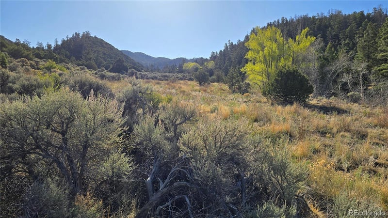 Lot 5475 Joy Rd, Fort Garland, CO 81133