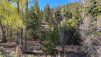 Lot 5475 Joy Rd, Fort Garland, CO 81133