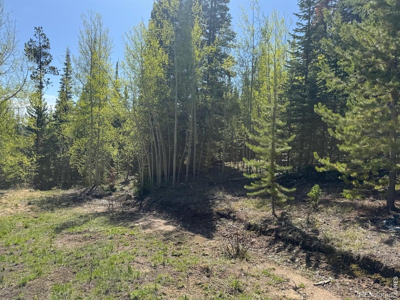 44 Wilderness Rd, Walden, CO 80480