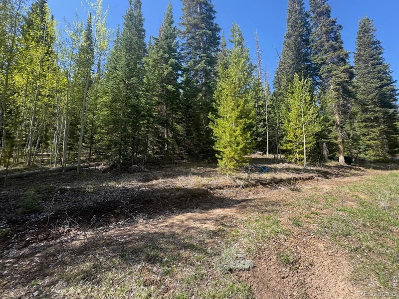 44 Wilderness Rd, Walden, CO 80480