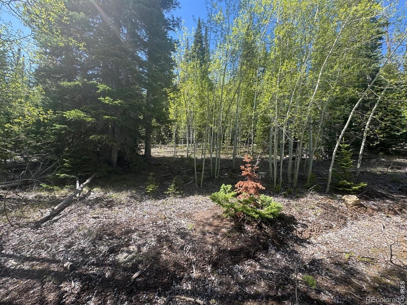 44 Wilderness Rd, Walden, CO 80480