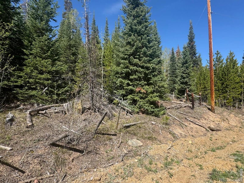 44 Wilderness Rd, Walden, CO 80480