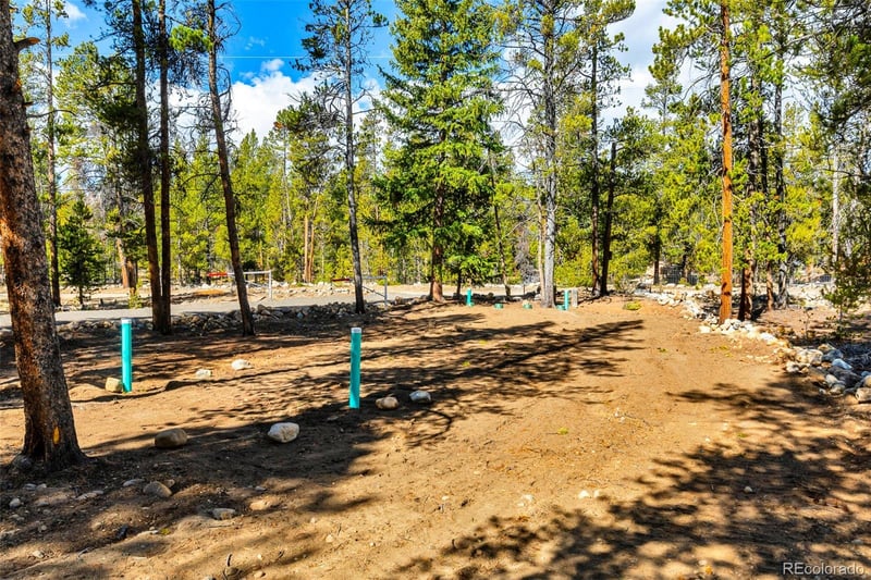 265 Placer Dr, Alma, CO 80420