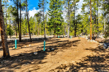 265 Placer Dr, Alma, CO 80420