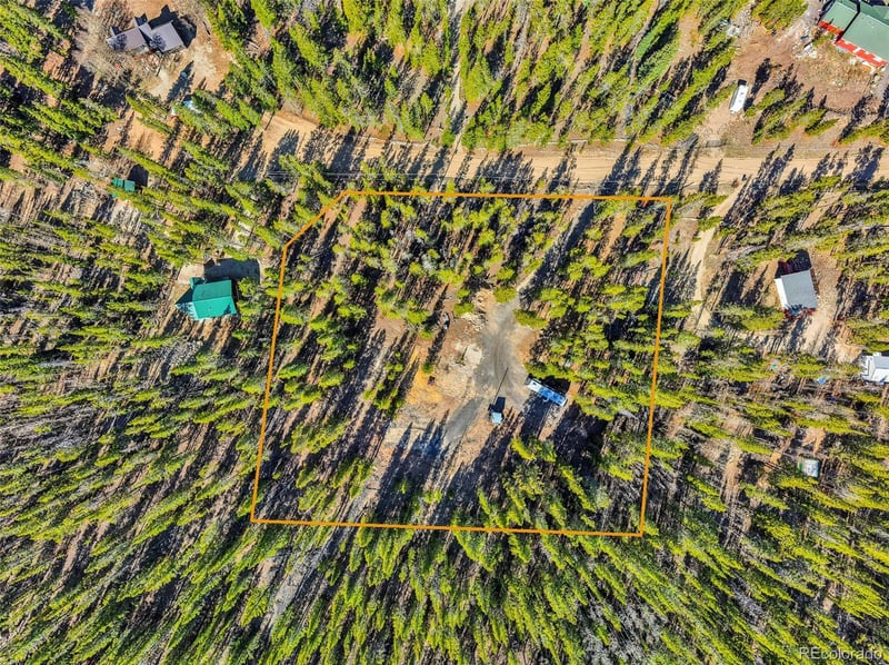 265 Placer Dr, Alma, CO 80420