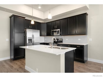 6793 Maple Leaf Dr #201, Timnath, CO 80547
