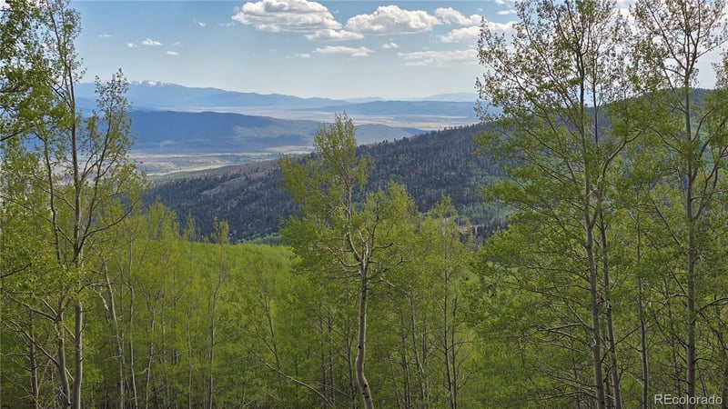 64121 Ryland Rd, Fort Garland, CO 81133