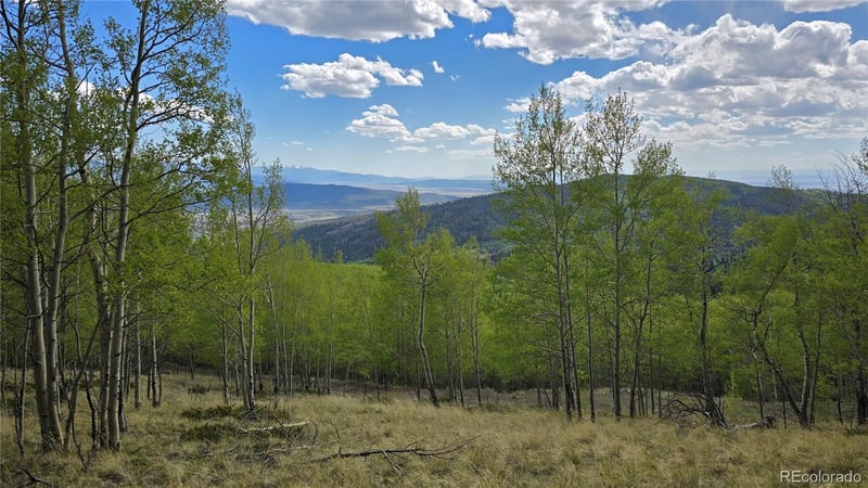 64121 Ryland Rd, Fort Garland, CO 81133