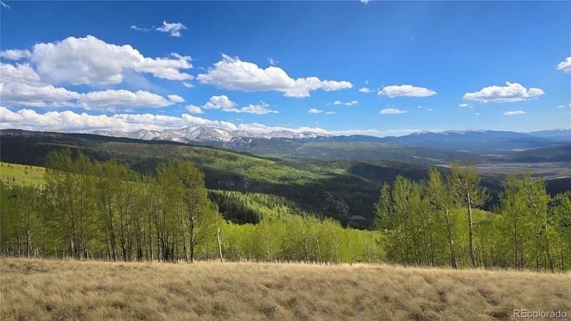64121 Ryland Rd, Fort Garland, CO 81133