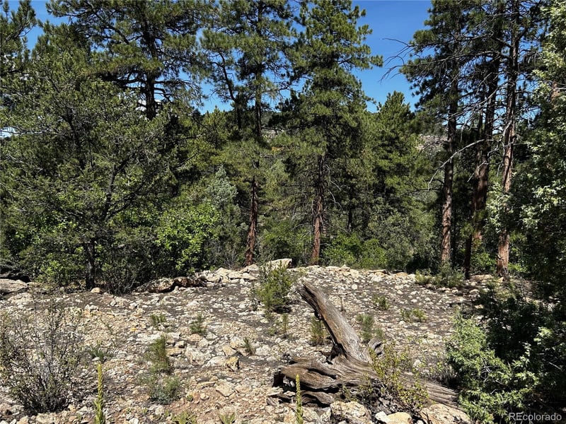 1380-1410 Oak Dr, Westcliffe, CO 81252