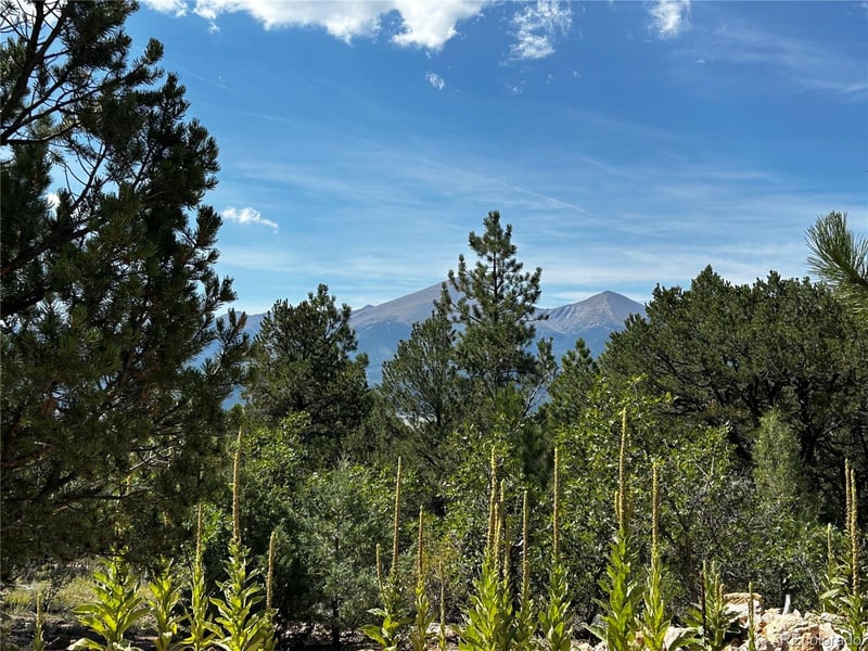 1380-1410 Oak Dr, Westcliffe, CO 81252