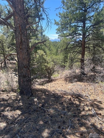 1380-1410 Oak Dr, Westcliffe, CO 81252