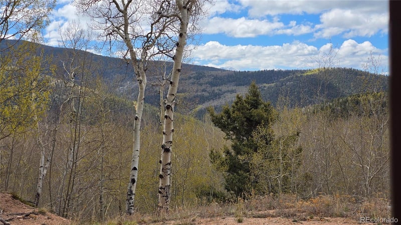 Lot 5897 Slegers Rd, Fort Garland, CO 81133
