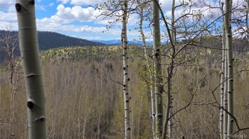 Lot 5897 Slegers Rd, Fort Garland, CO 81133