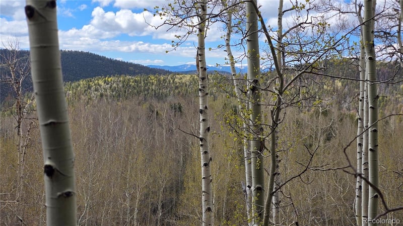 Lot 5897 Slegers Rd, Fort Garland, CO 81133