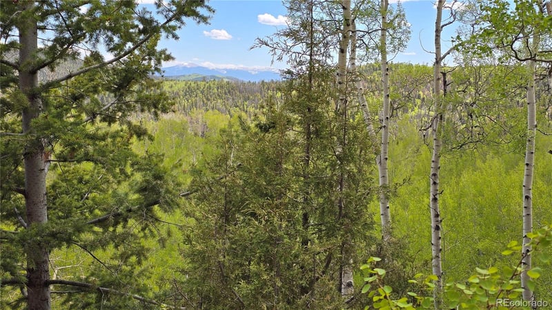 Lot 5897 Slegers Rd Lot 5897, Fort Garland, CO 81133