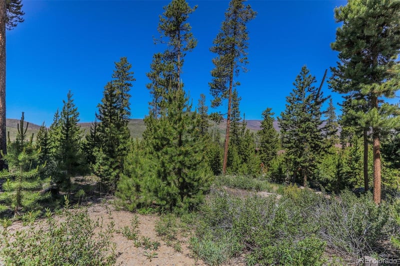 493 County Road 4632, Grand Lake, CO 80447