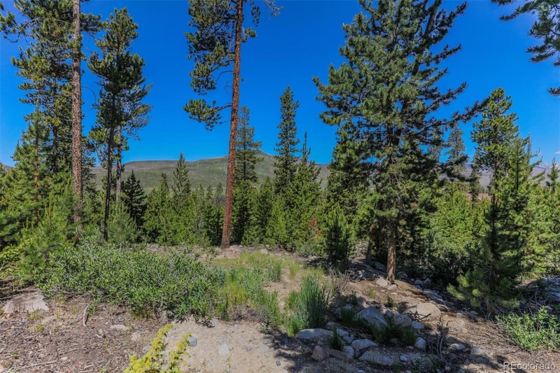 493 County Road 4632, Grand Lake, CO 80447