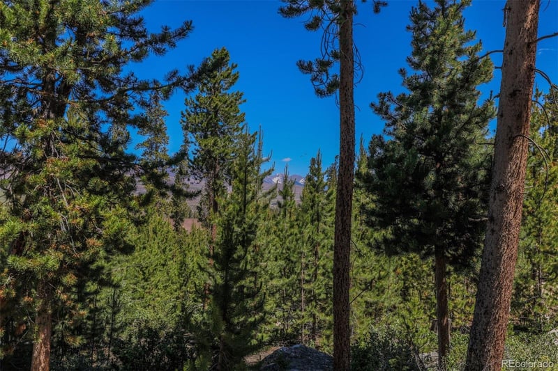 493 County Road 4632, Grand Lake, CO 80447