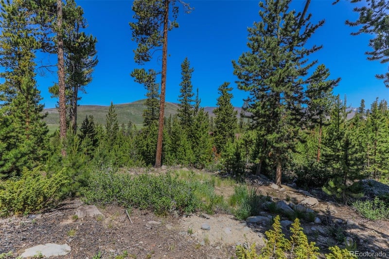 493 County Road 4632, Grand Lake, CO 80447