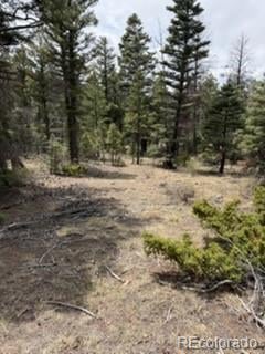 Lot 2711 Sleger Rd, Fort Garland, CO 81133