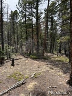 Lot 2711 Sleger Rd, Fort Garland, CO 81133