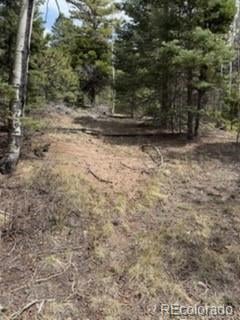 Lot 2711 Sleger Rd, Fort Garland, CO 81133