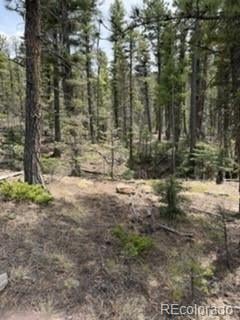 Lot 2711 Sleger Rd, Fort Garland, CO 81133