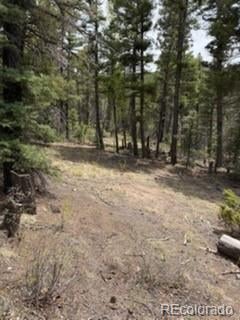 Lot 2711 Sleger Rd, Fort Garland, CO 81133