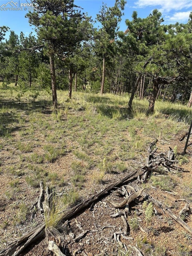 315 Thunder Ridge Rd, Florissant, CO 80816