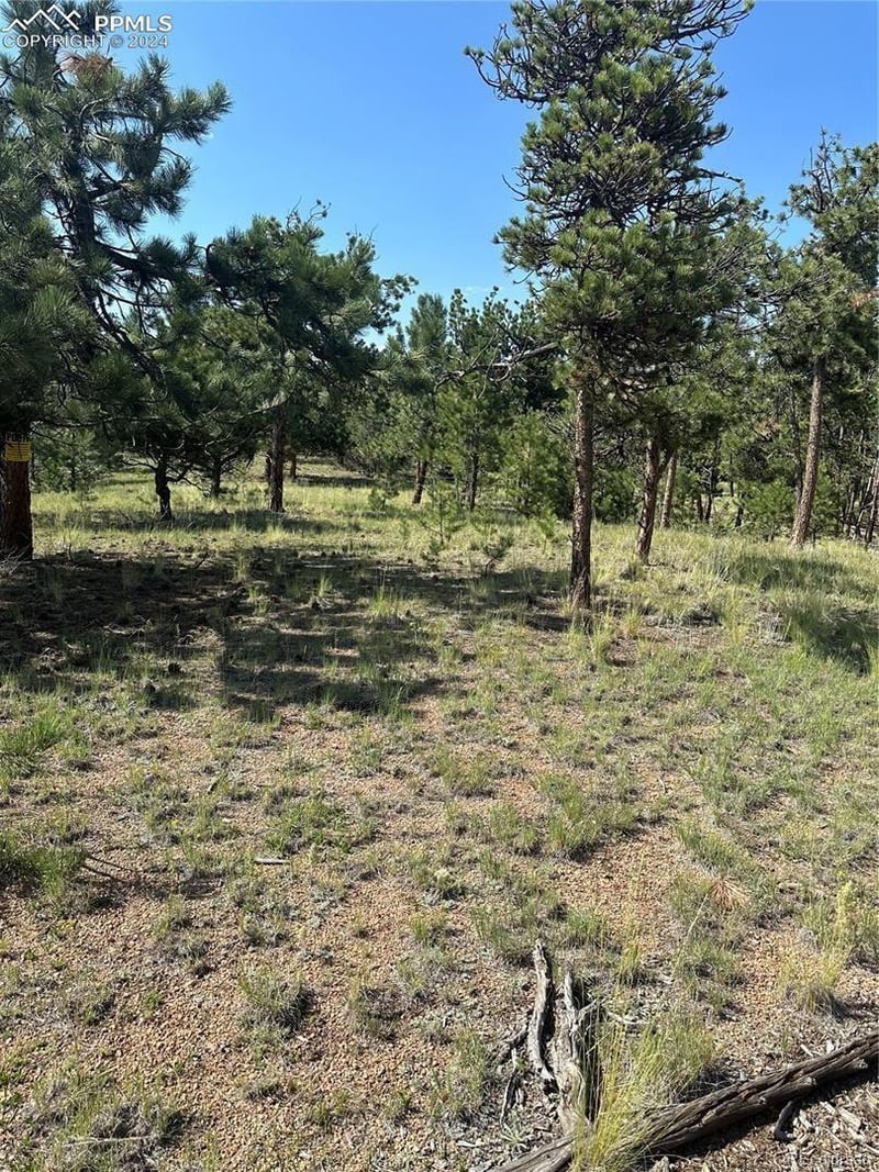315 Thunder Ridge Rd, Florissant, CO 80816