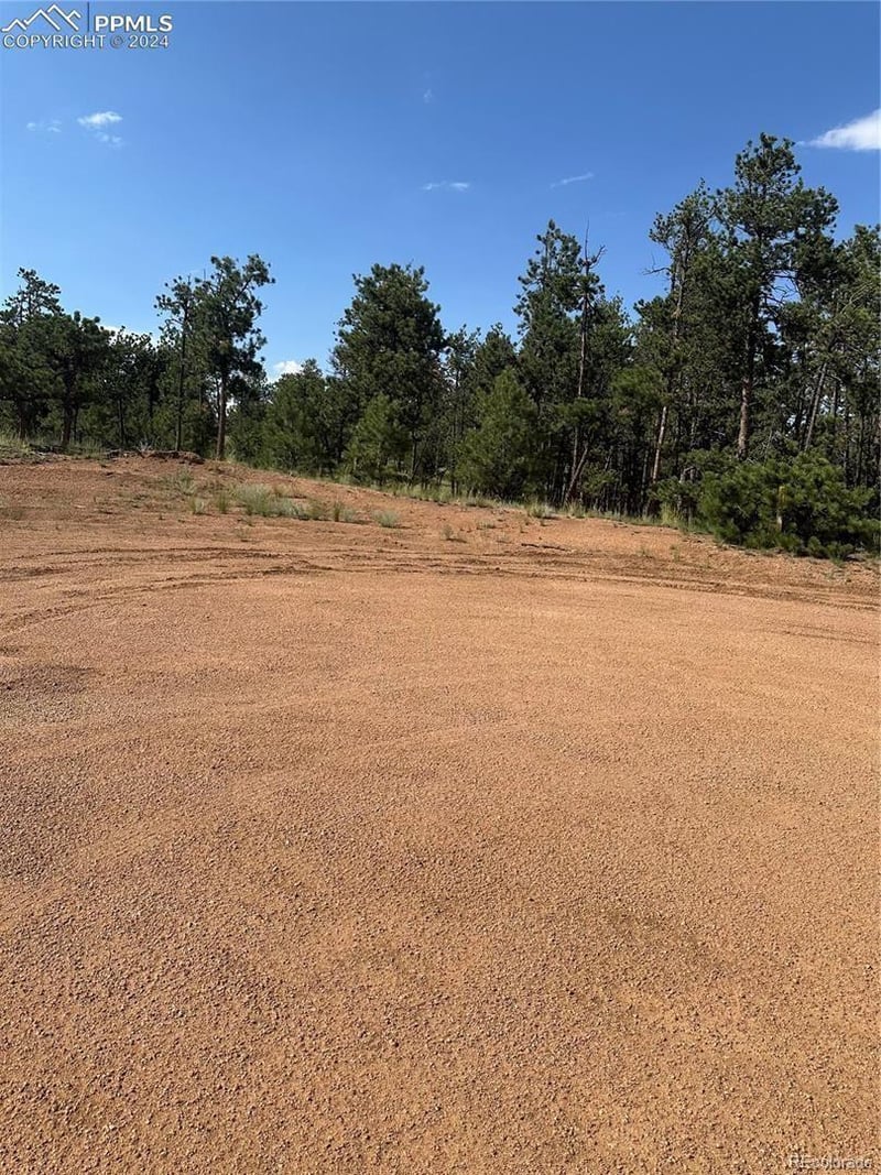 315 Thunder Ridge Rd, Florissant, CO 80816