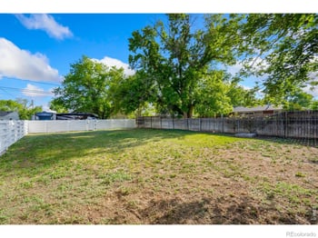 519 Locust St, Windsor, CO 80550