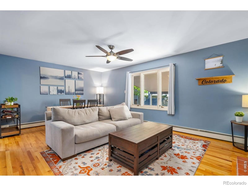 519 Locust St, Windsor, CO 80550