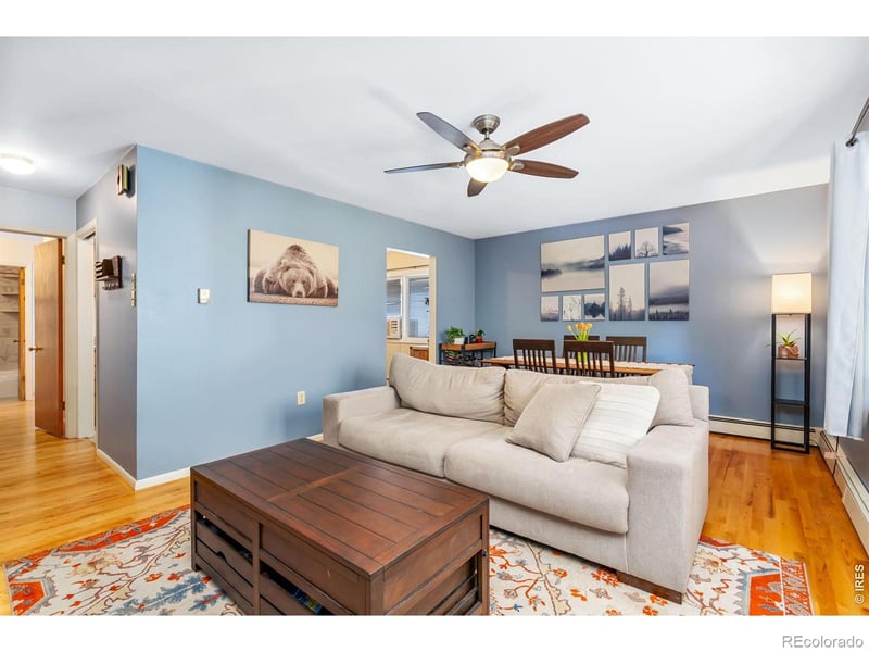 519 Locust St, Windsor, CO 80550