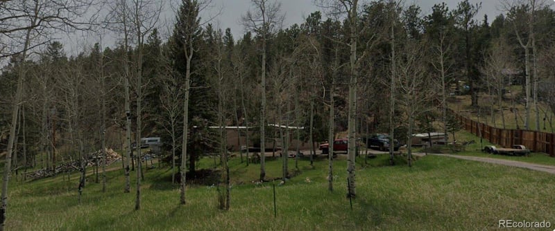 714 Pine Dr, Bailey, CO 80421
