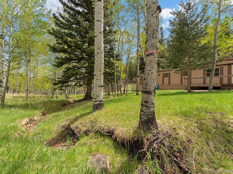 714 Pine Dr, Bailey, CO 80421