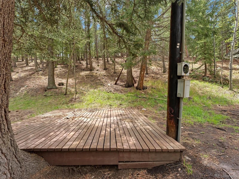 714 Pine Dr, Bailey, CO 80421