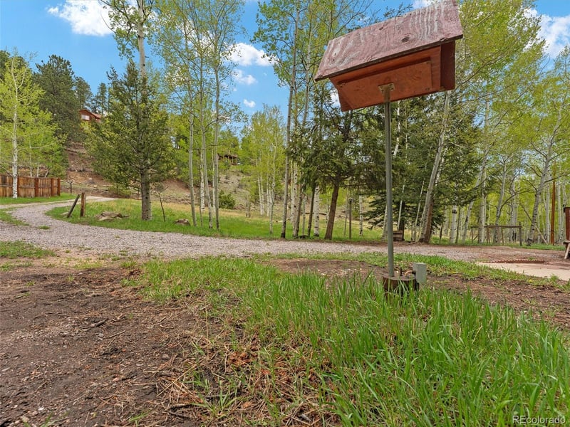 714 Pine Dr, Bailey, CO 80421