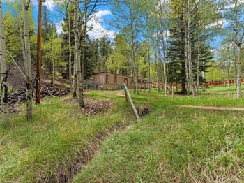 714 Pine Dr, Bailey, CO 80421